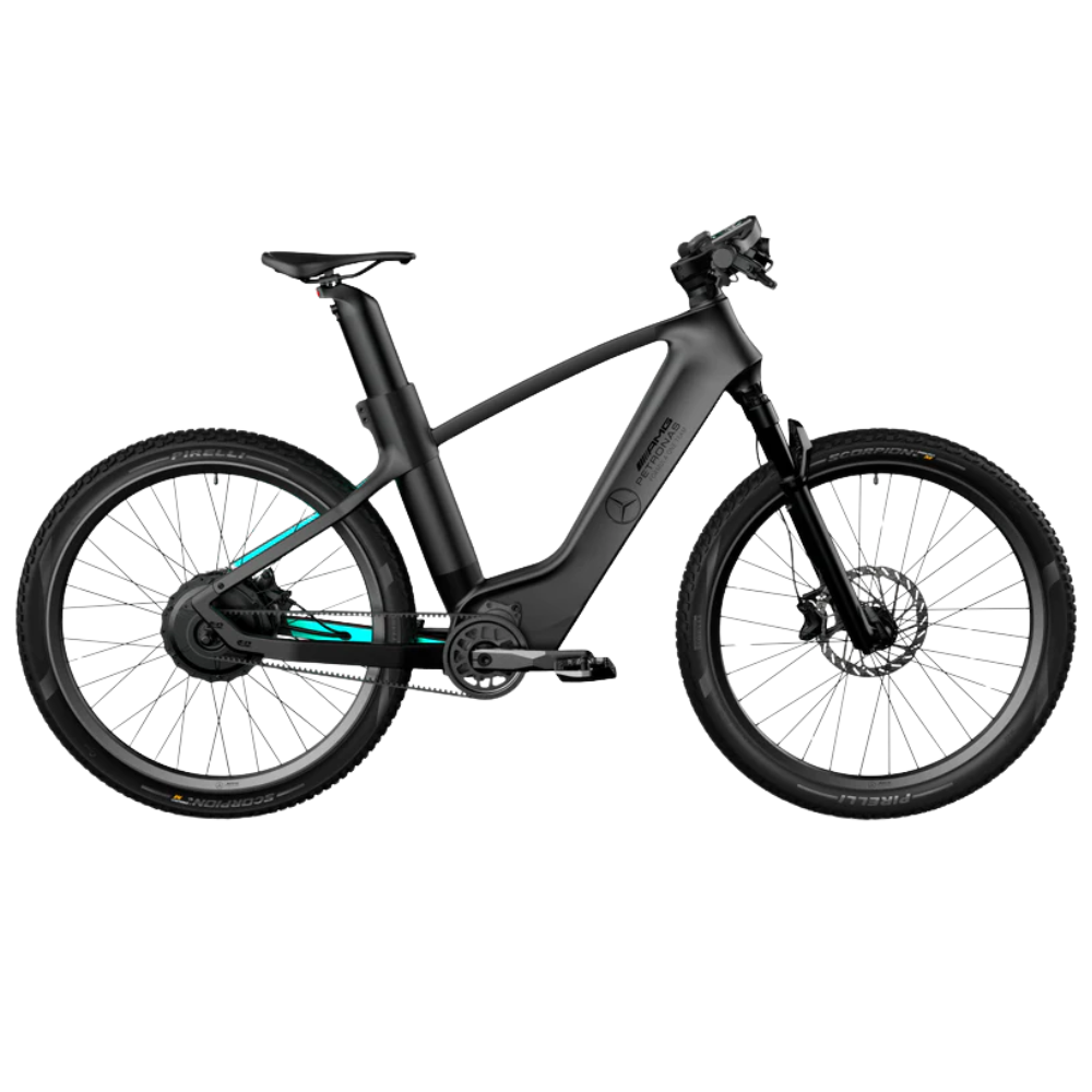 ElectraMove™ Elektrofahrrad