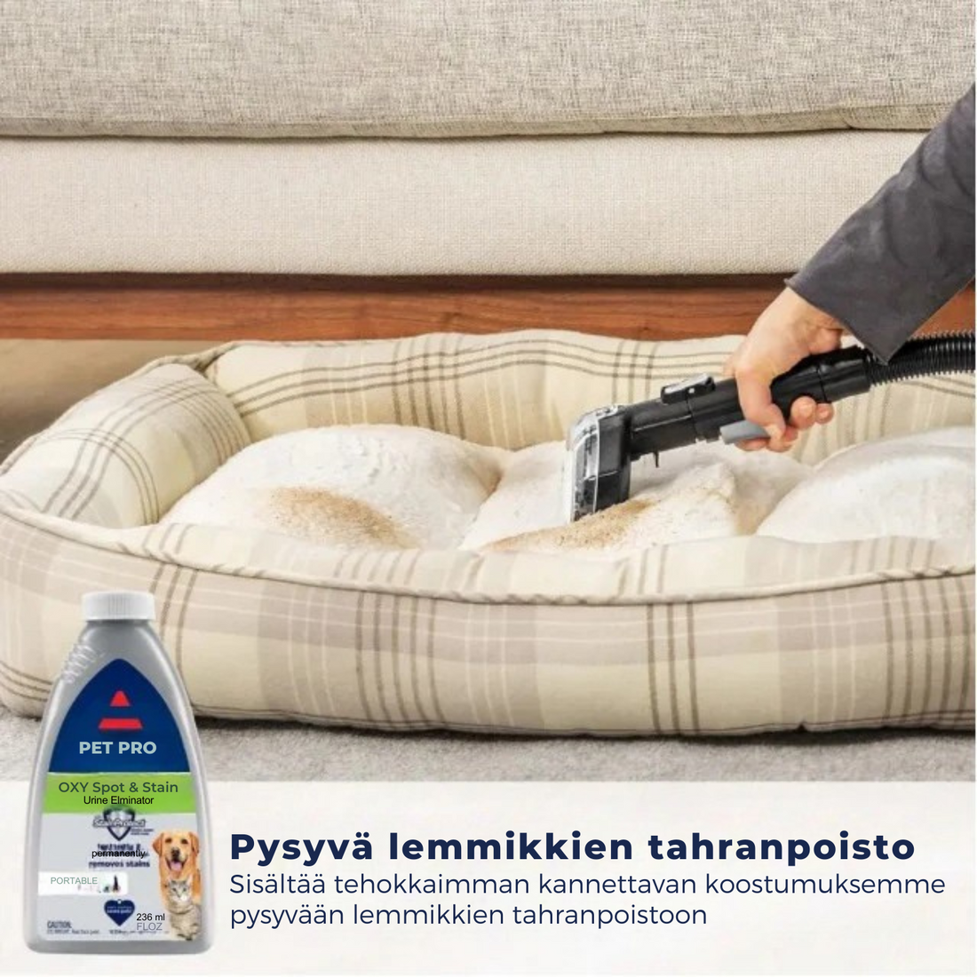 CarpetShine™ Kannettava matonpuhdistin