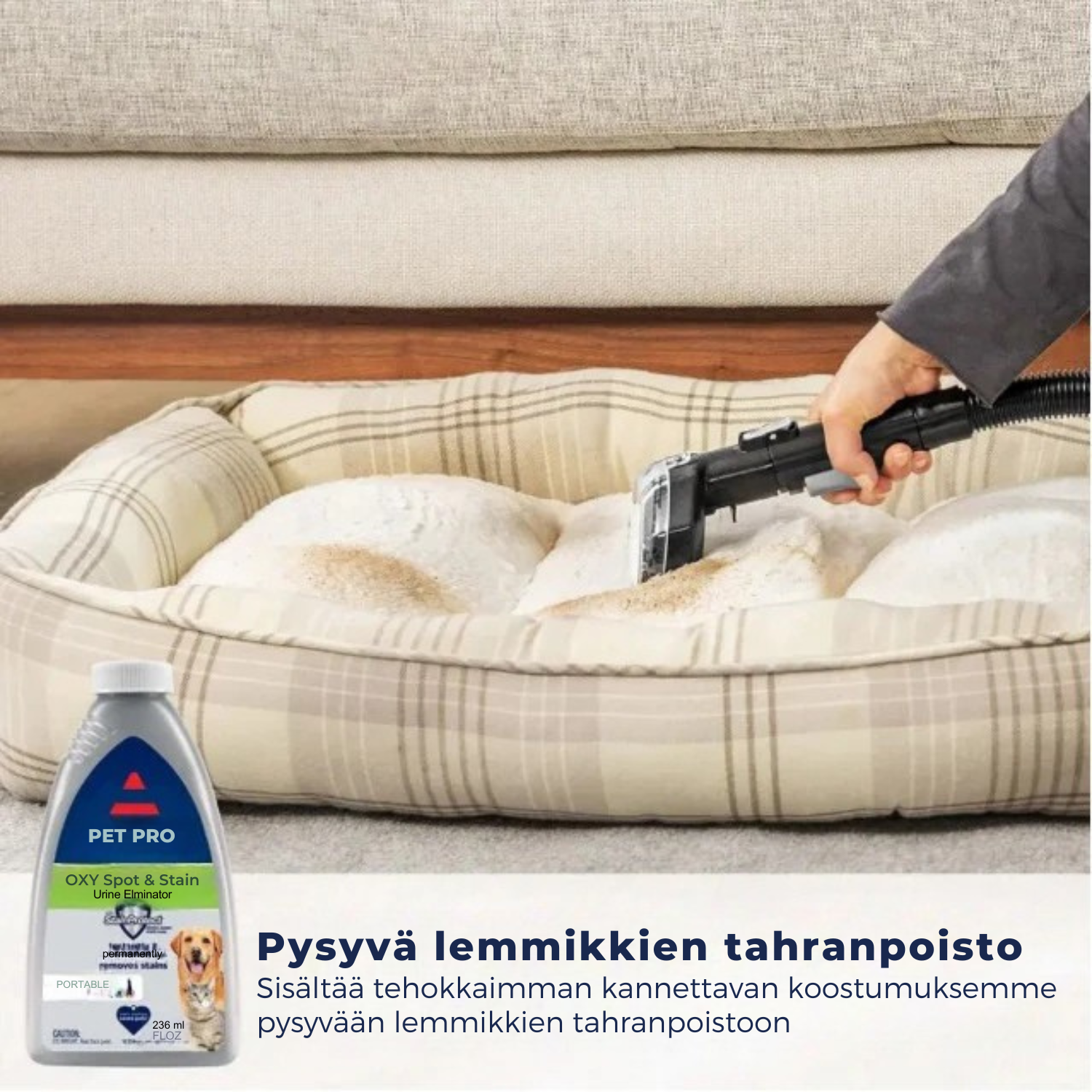 CarpetShine™ Kannettava matonpuhdistin